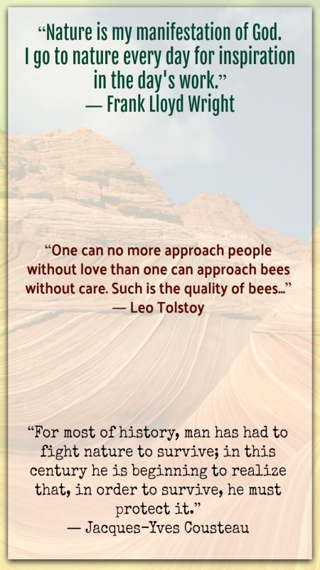 qod