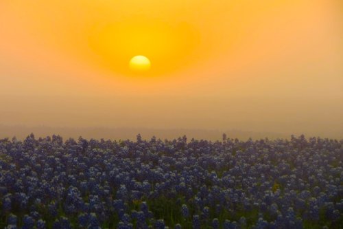 Texas Hill Country