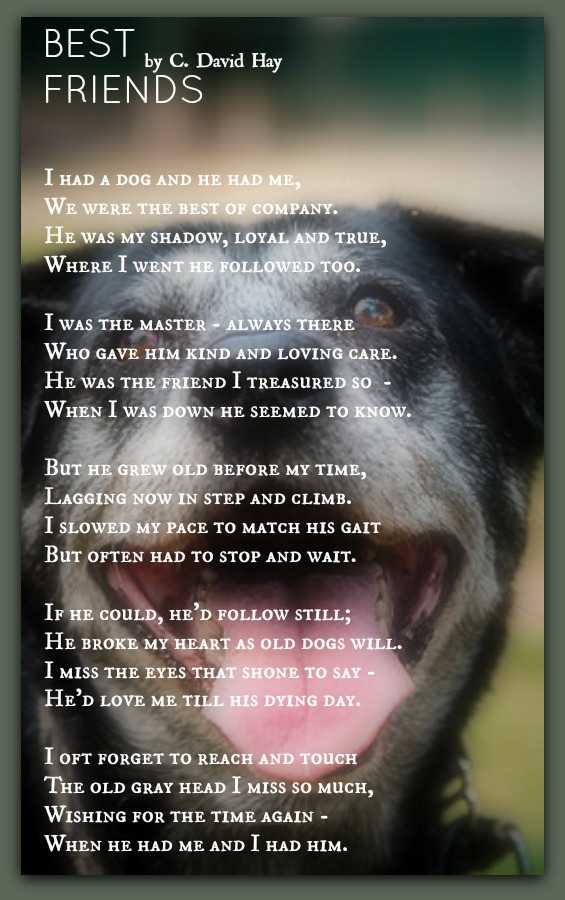 Best Friends-C. David Hay | Pet Poems
