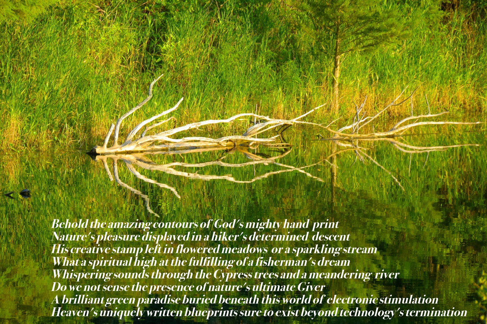 eelctronicescapepic