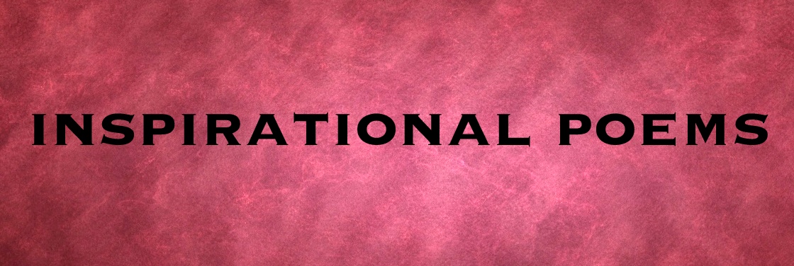 npbanner