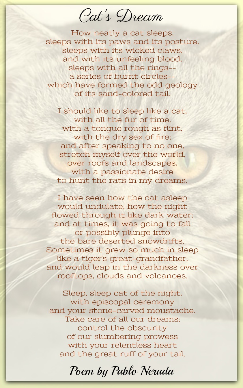 Cat's Dream-Pablo Neruda | Pet Poems