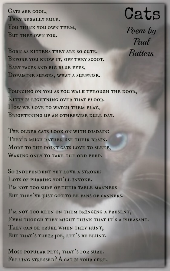 Cats-Paul Butters | Pet Poems