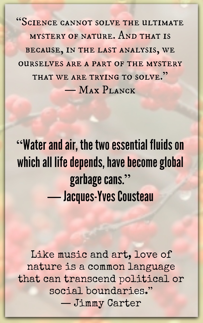 qod