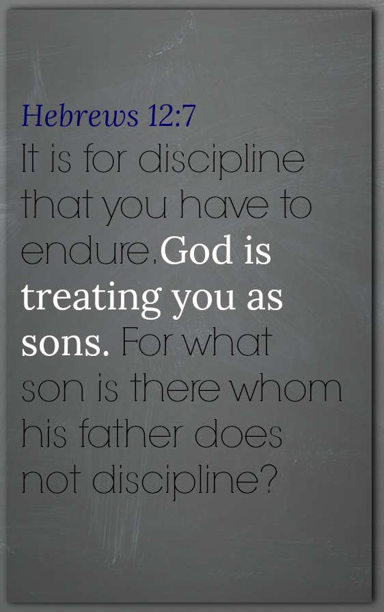 hebrew chapter 12 verse 7