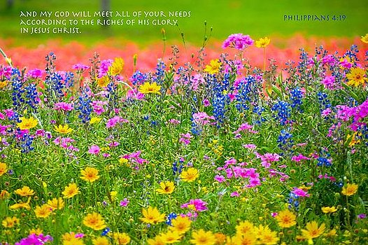 a glorious promise